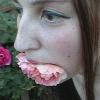 My Photo Gallery